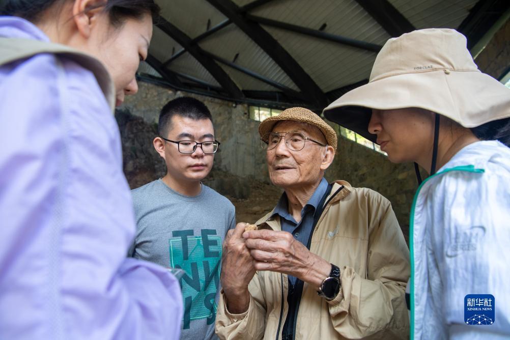网络尾号夺宝